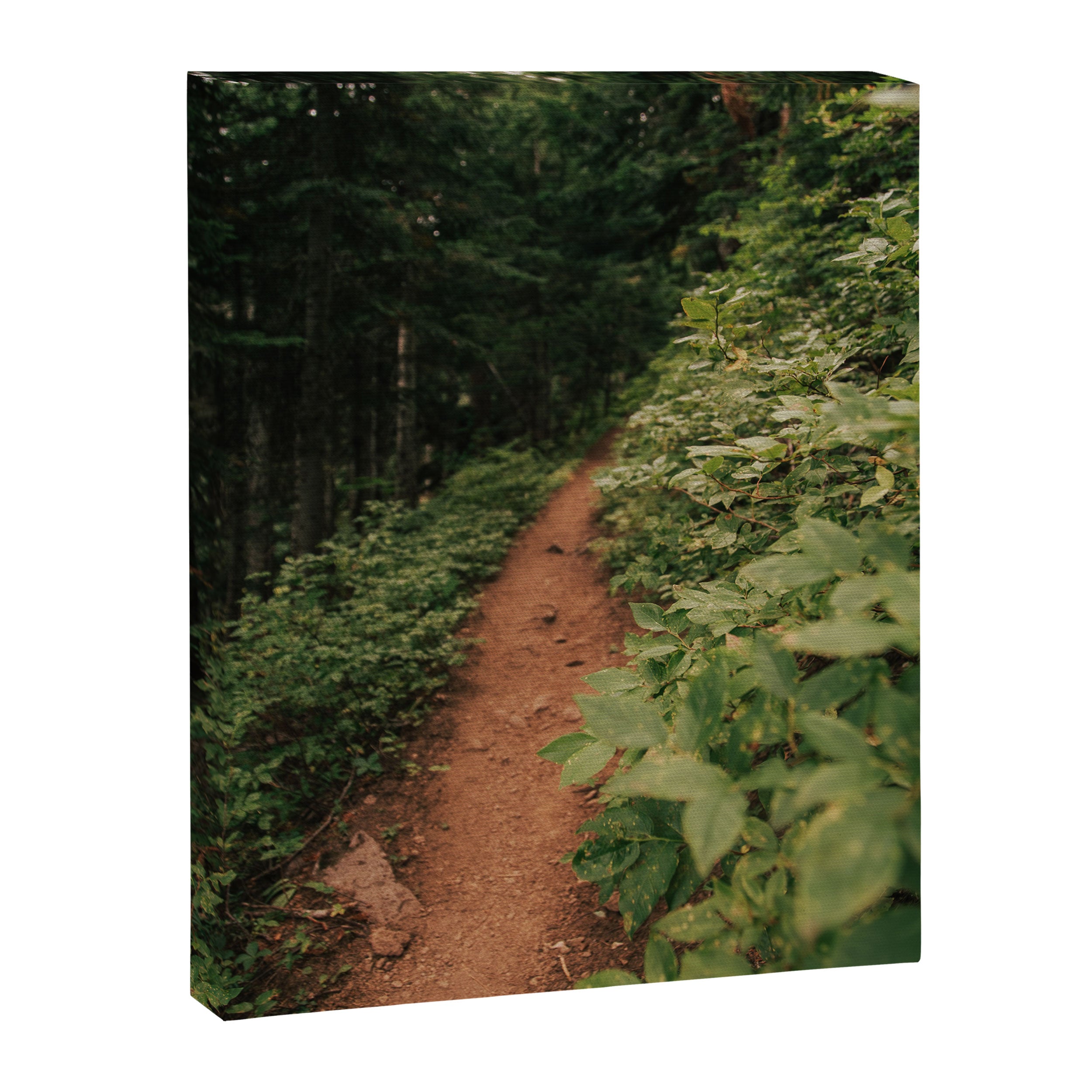 Through the Green Canvas Print Gallery Image 6