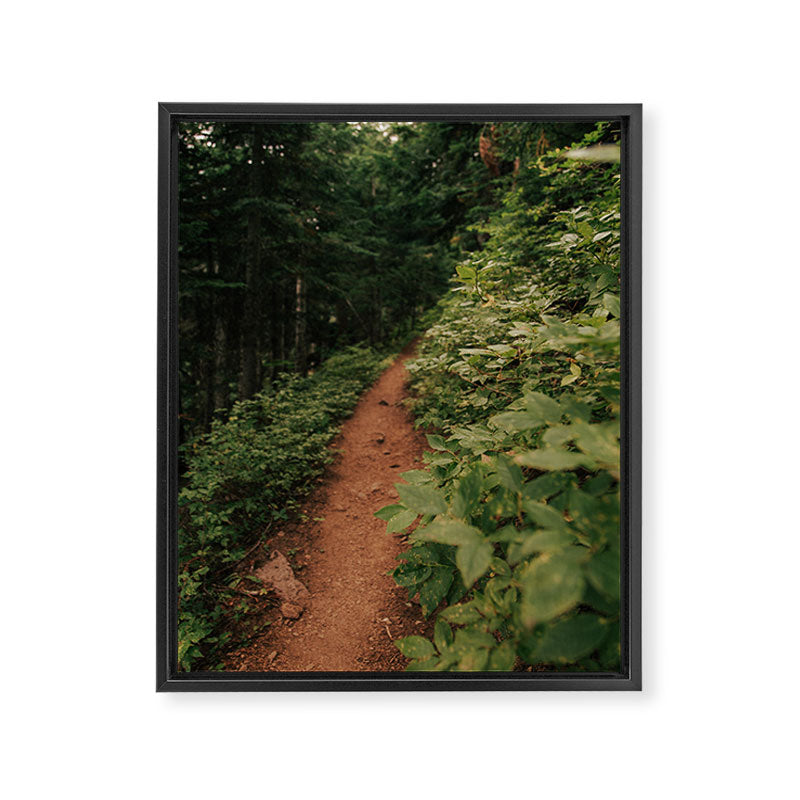 Through the Green Framed Canvas Print Gallery Image 6