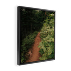 Through the Green Framed Canvas Print Gallery Image 2