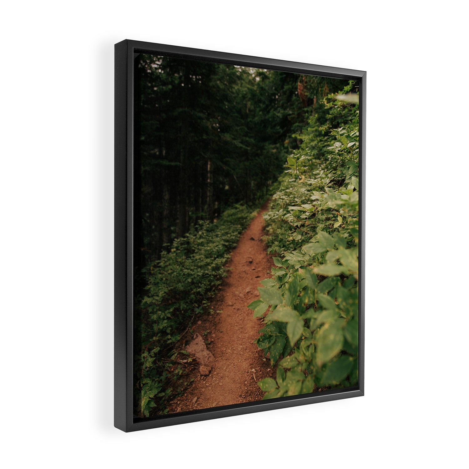 Through the Green Framed Canvas Print Gallery Image 2