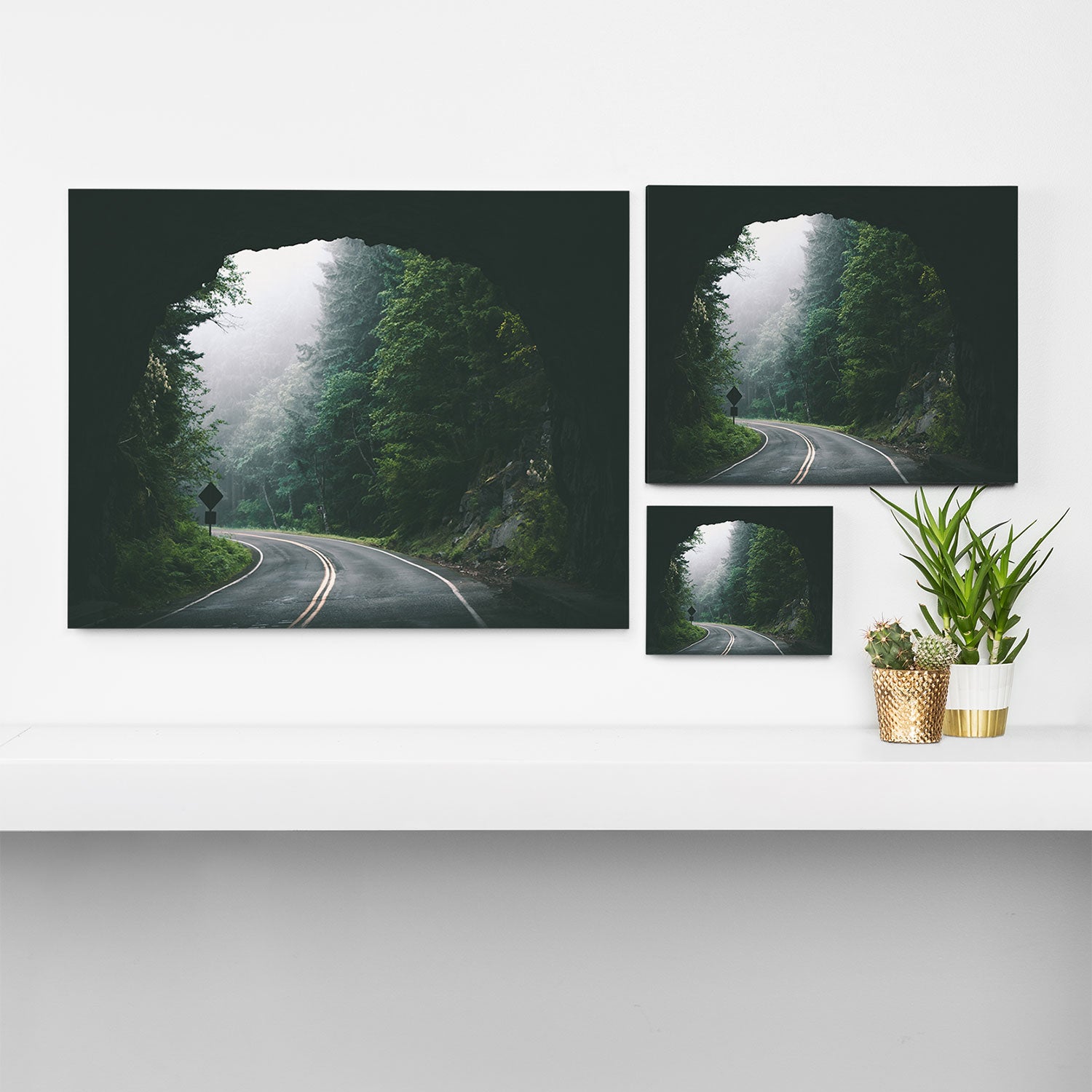 Through The Tunnel Canvas Print Gallery Image 3