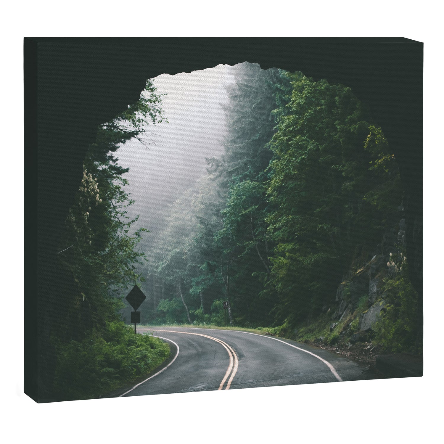Through The Tunnel Canvas Print Gallery Image 3