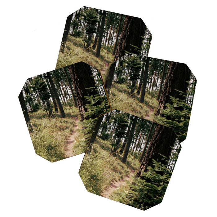 Through the Woods Coaster Gallery Image 1