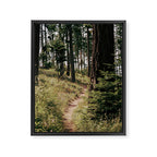 Through the Woods Framed Canvas Print Gallery Image 6