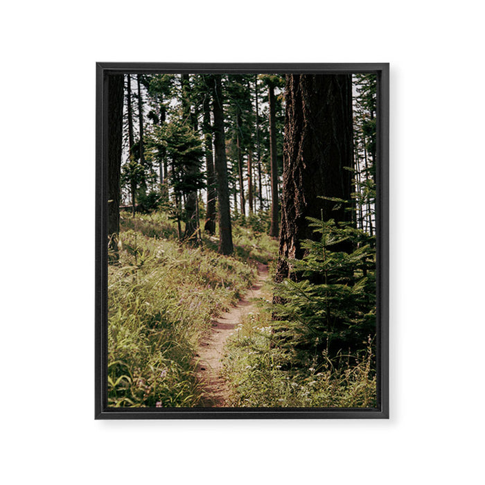 Through the Woods Framed Canvas Print Gallery Image 1
