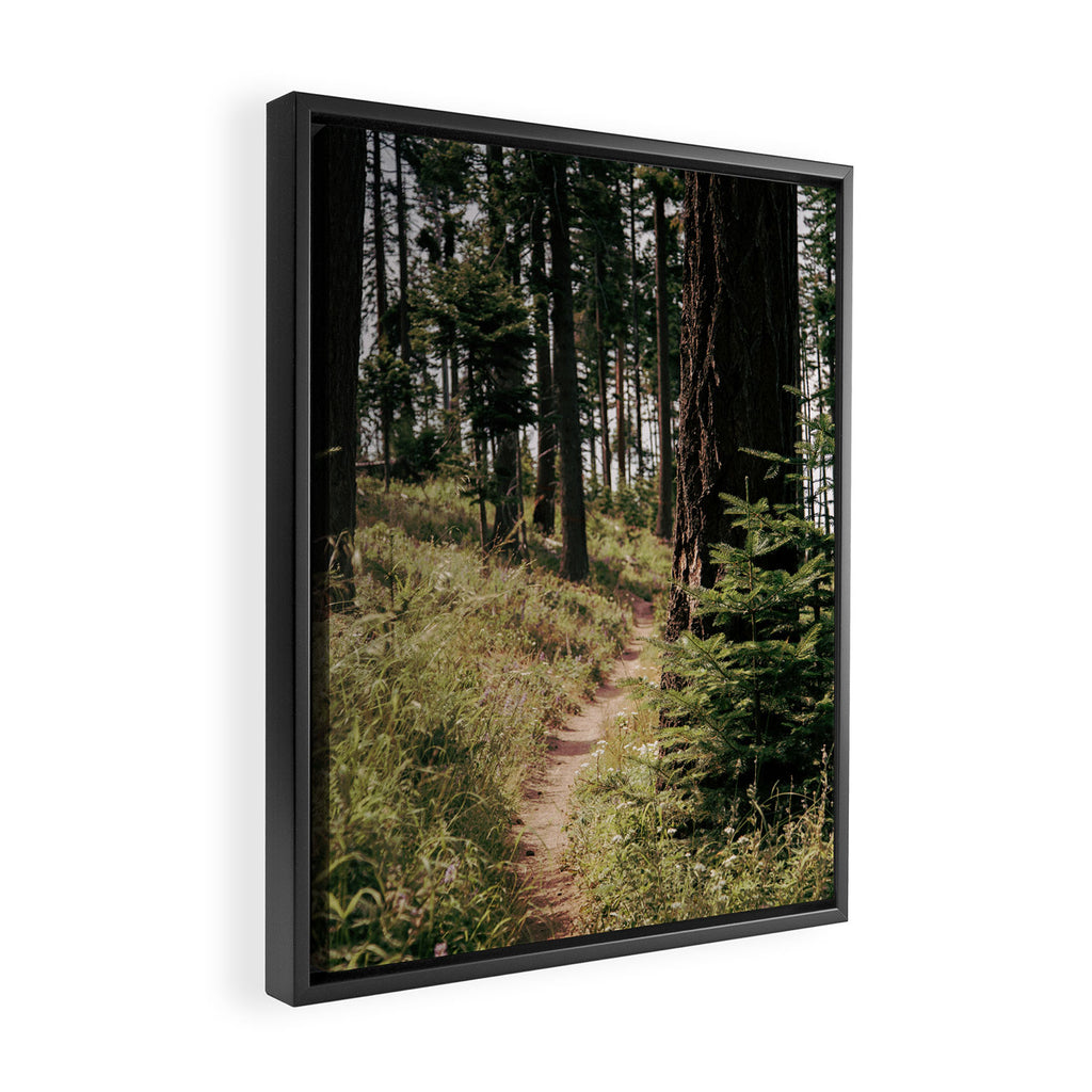 Through the Woods Framed Canvas Print Gallery Image 2