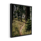 Through the Woods Framed Canvas Print Gallery Image 2