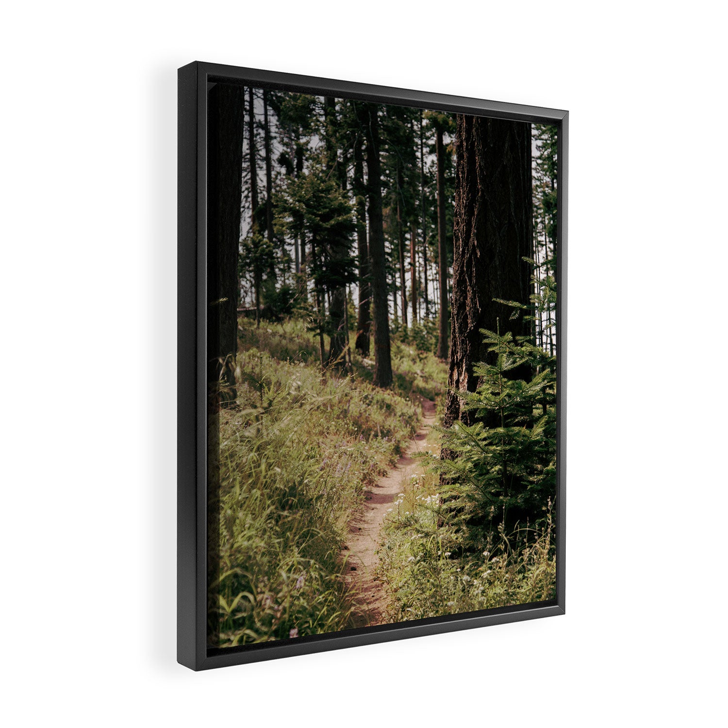 Through the Woods Framed Canvas Print Gallery Image 2