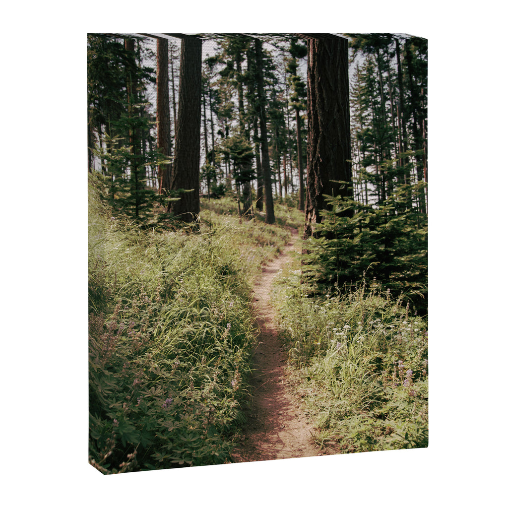Through the Woods II Canvas Print Gallery Image 6
