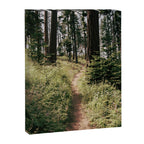 Through the Woods II Canvas Print Gallery Image 6