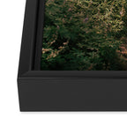 Through the Woods II Framed Canvas Print Gallery Image 3
