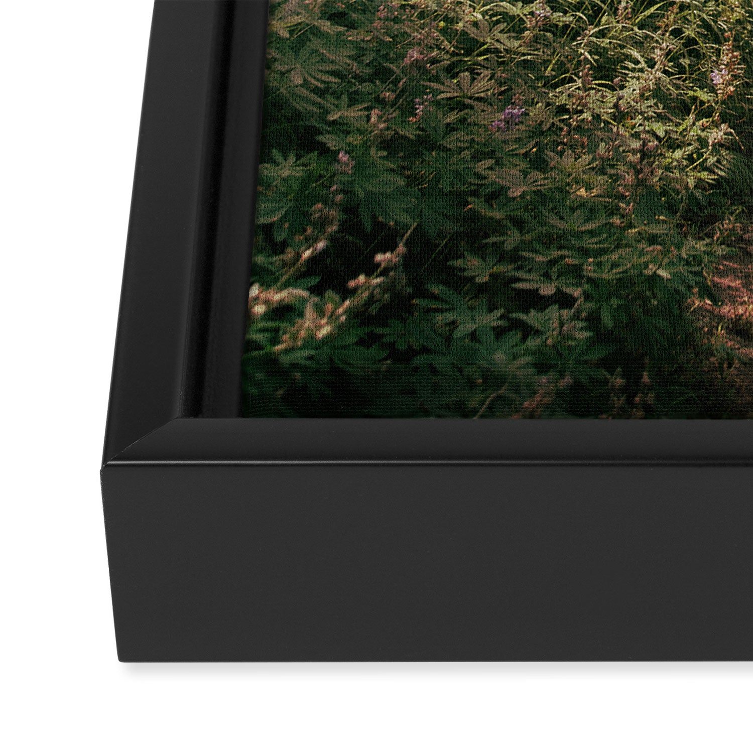 Through the Woods II Framed Canvas Print Gallery Image 3