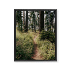 Through the Woods II Framed Canvas Print Gallery Image 6
