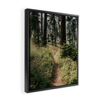Through the Woods II Framed Canvas Print Gallery Image 2