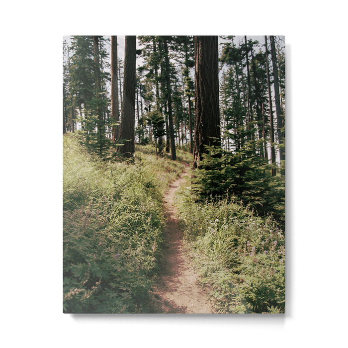 Through the Woods II Metal Print Gallery Image 1
