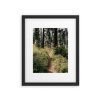 Through the Woods II Framed Art Print Gallery Image 5