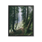 To The Falls Framed Canvas Print Gallery Image 6