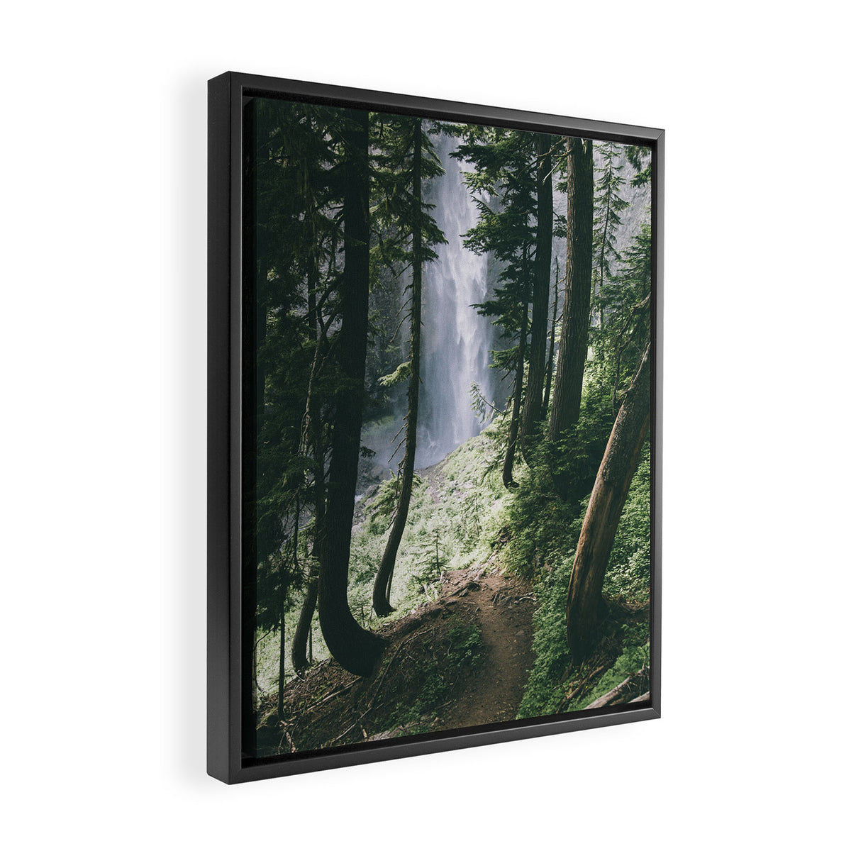 To The Falls Framed Canvas Print Gallery Image 2