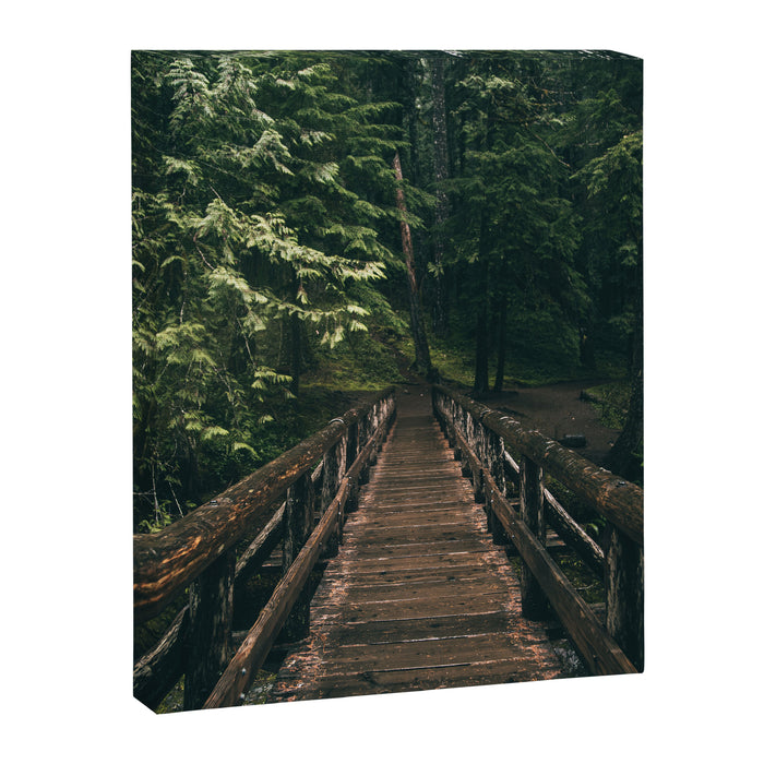 Trail Bridge Canvas Print Gallery Image 1