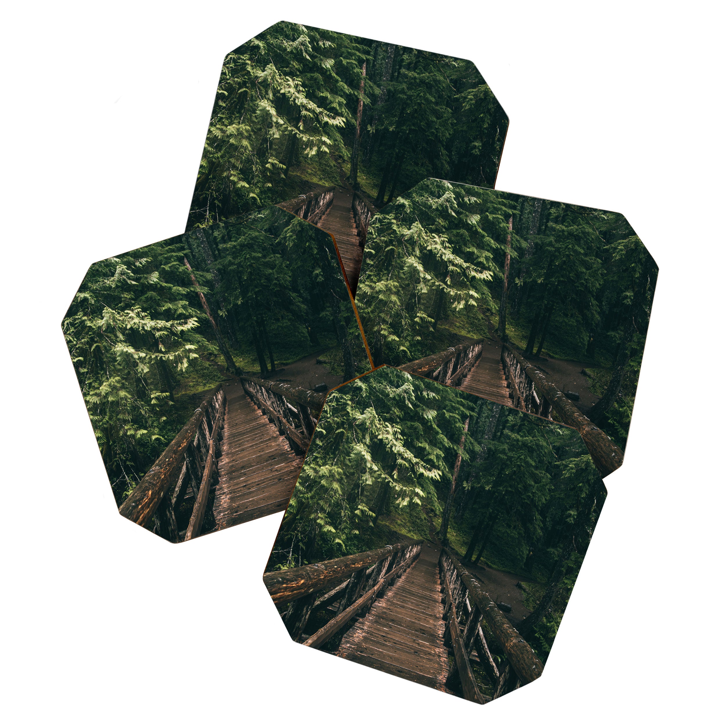 Trail Bridge Coaster Gallery Image 1