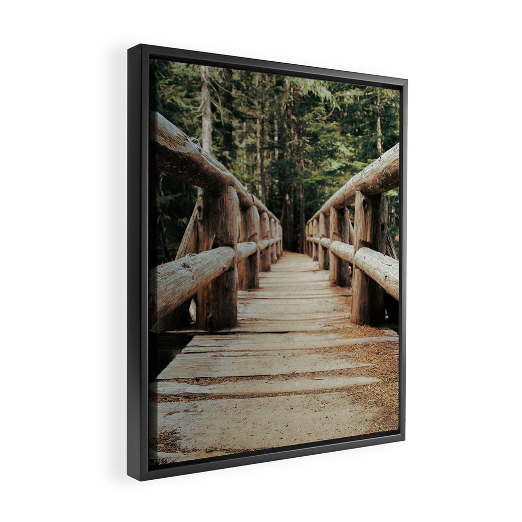 Trail Bridge II Framed Canvas Print Gallery Image 2