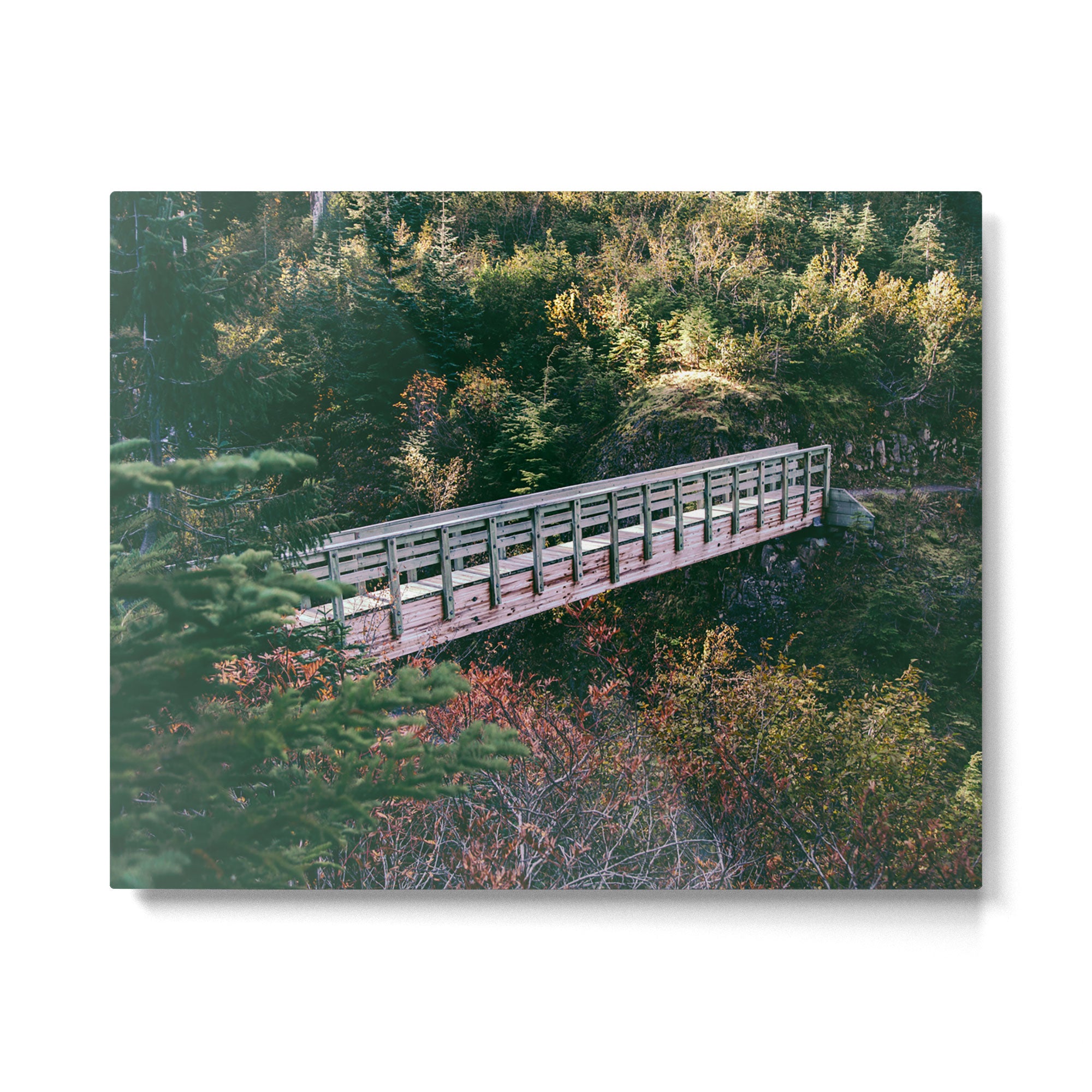 Trail Bridge III Metal Print Gallery Image 4