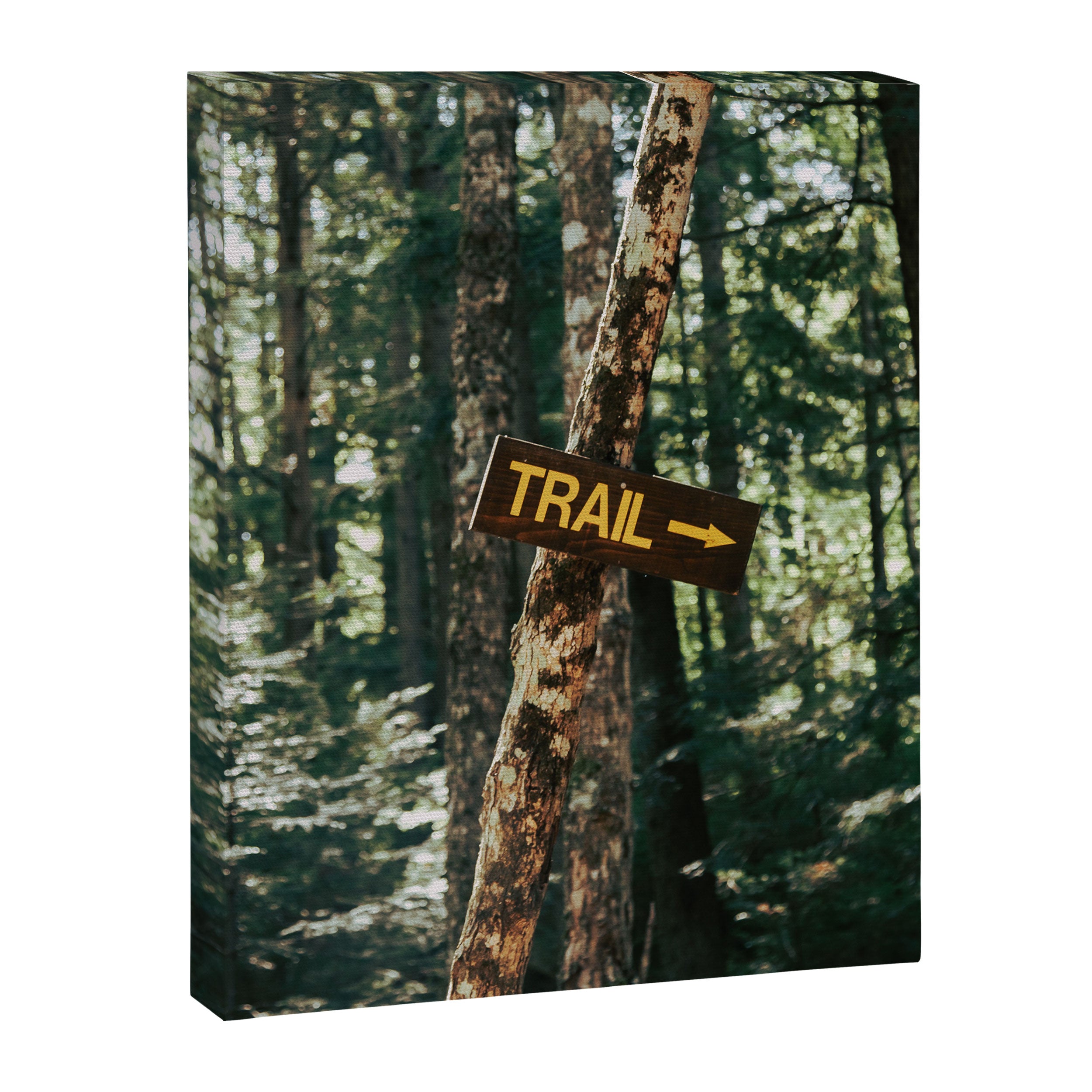 Trail Sign Canvas Print Gallery Image 8