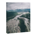 Veins Canvas Print Gallery Image 6