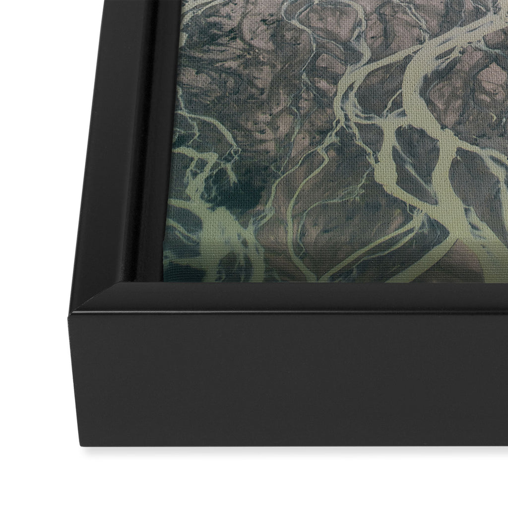 Veins Framed Canvas Print Gallery Image 3