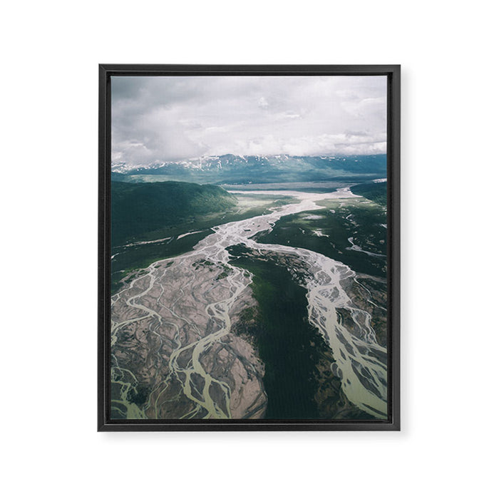 Veins Framed Canvas Print Gallery Image 1