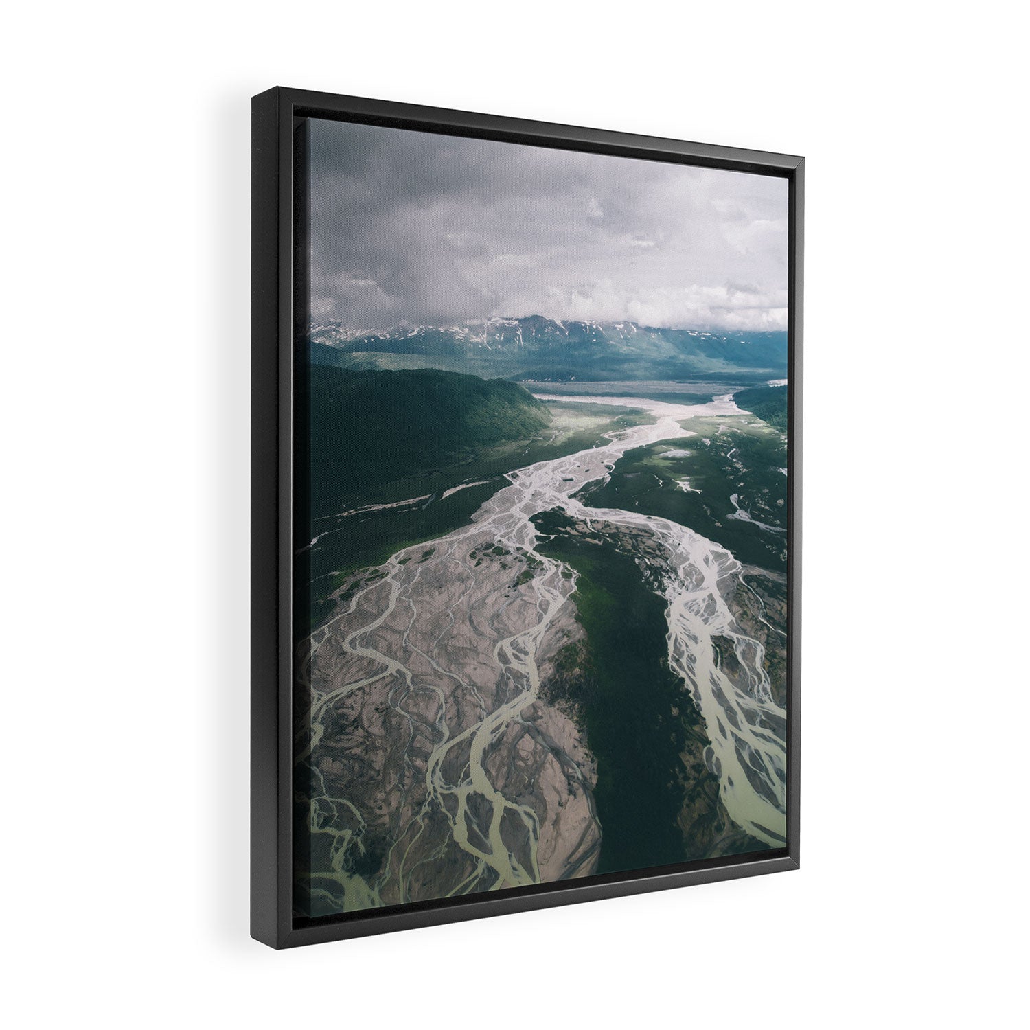 Veins Framed Canvas Print Gallery Image 2