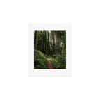 Walking through the Forest Art Print Gallery Image 1