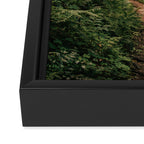 Walking through the Forest Framed Canvas Print Gallery Image 3
