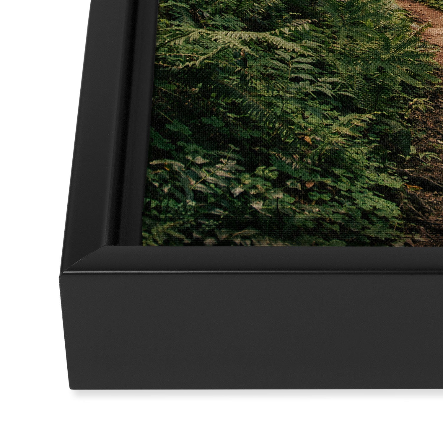 Walking through the Forest Framed Canvas Print Gallery Image 3