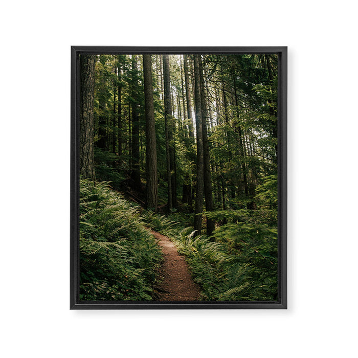 Walking through the Forest Framed Canvas Print Gallery Image 1