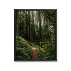 Walking through the Forest Framed Canvas Print Gallery Image 6