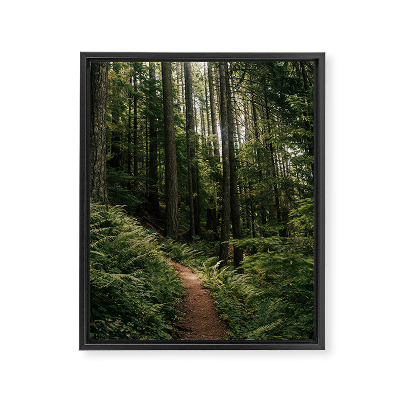Walking through the Forest Framed Canvas Print Gallery Image 6