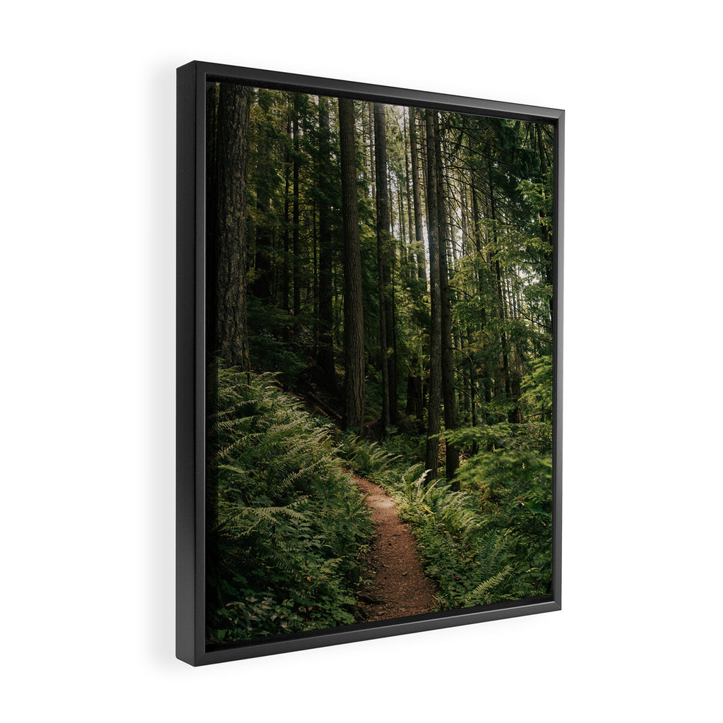 Walking through the Forest Framed Canvas Print Gallery Image 2