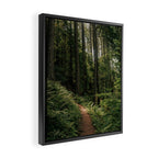 Walking through the Forest Framed Canvas Print Gallery Image 2