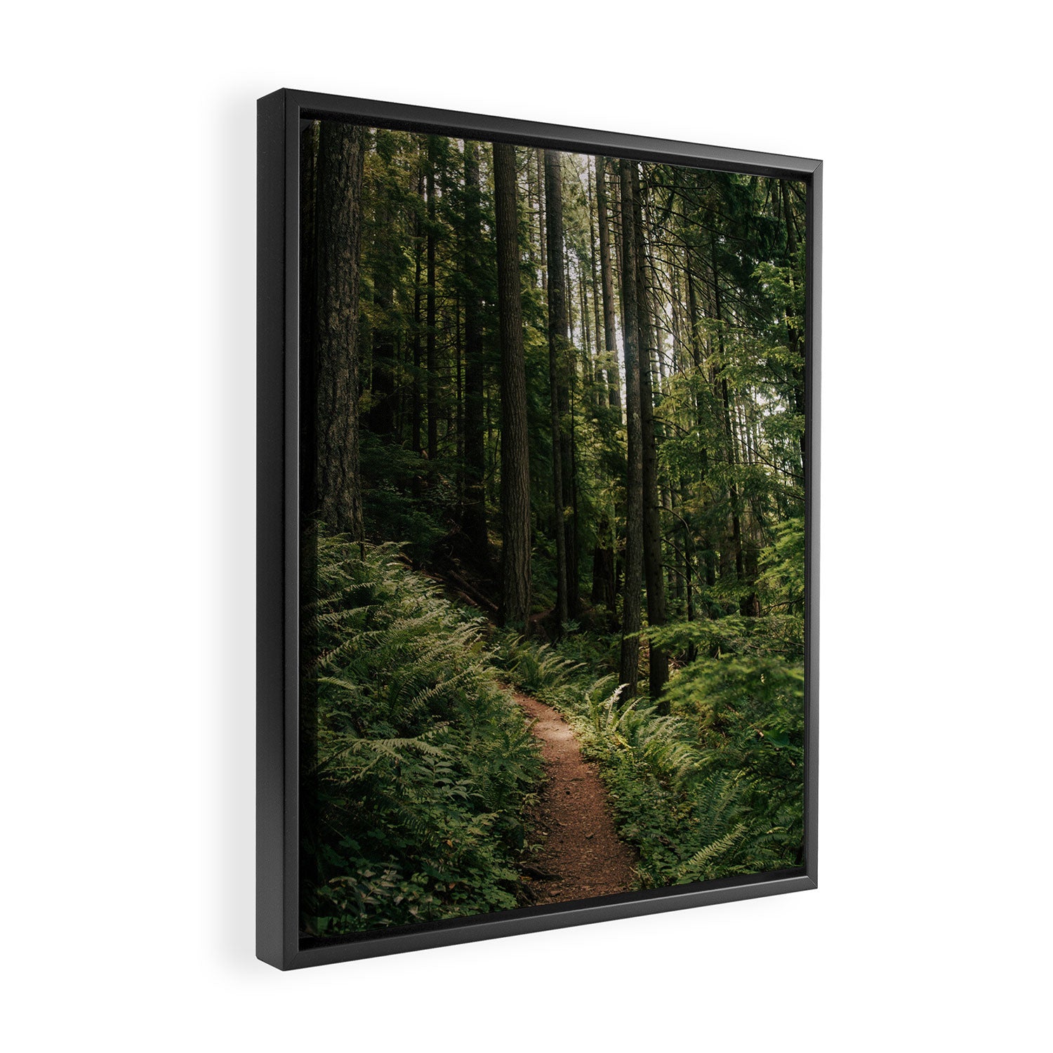 Walking through the Forest Framed Canvas Print Gallery Image 2