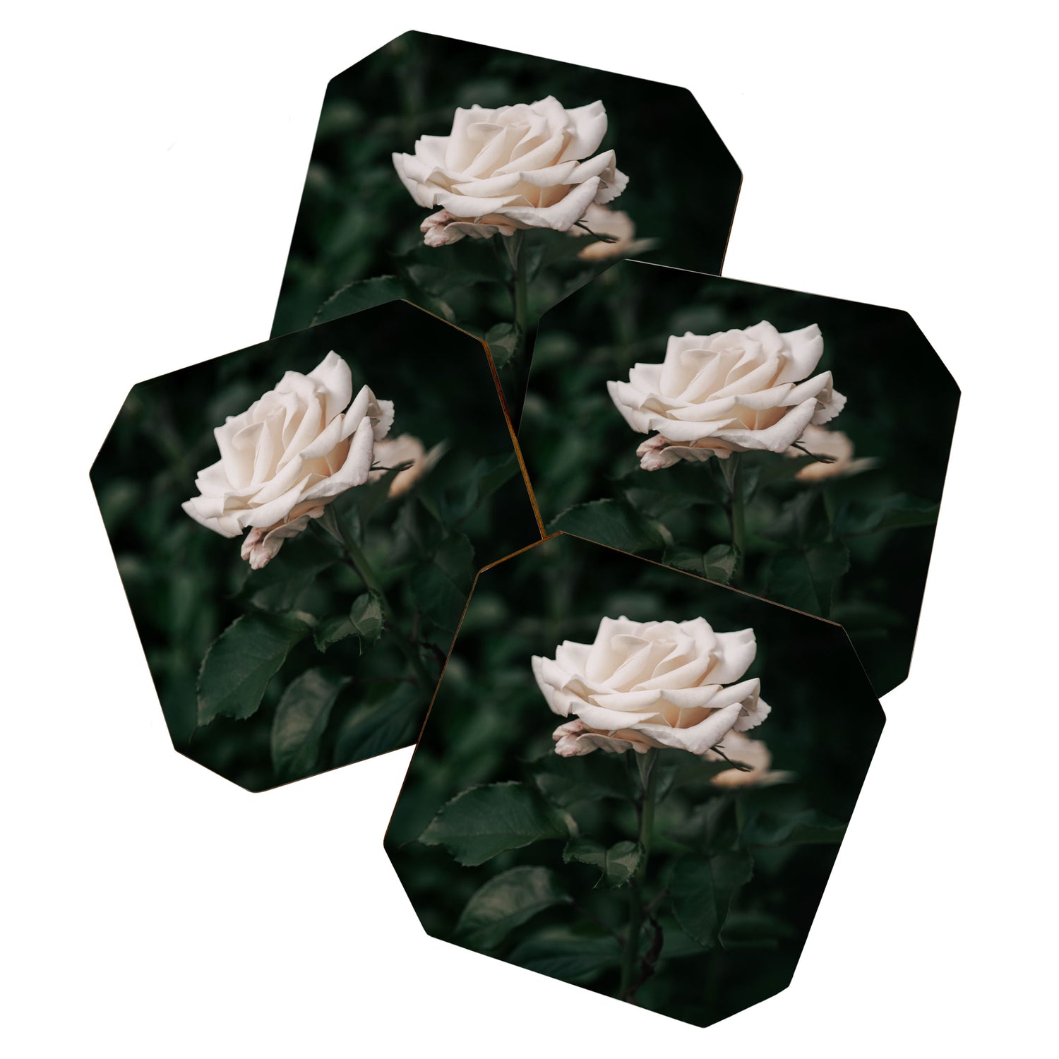 White Rose Coaster Gallery Image 1