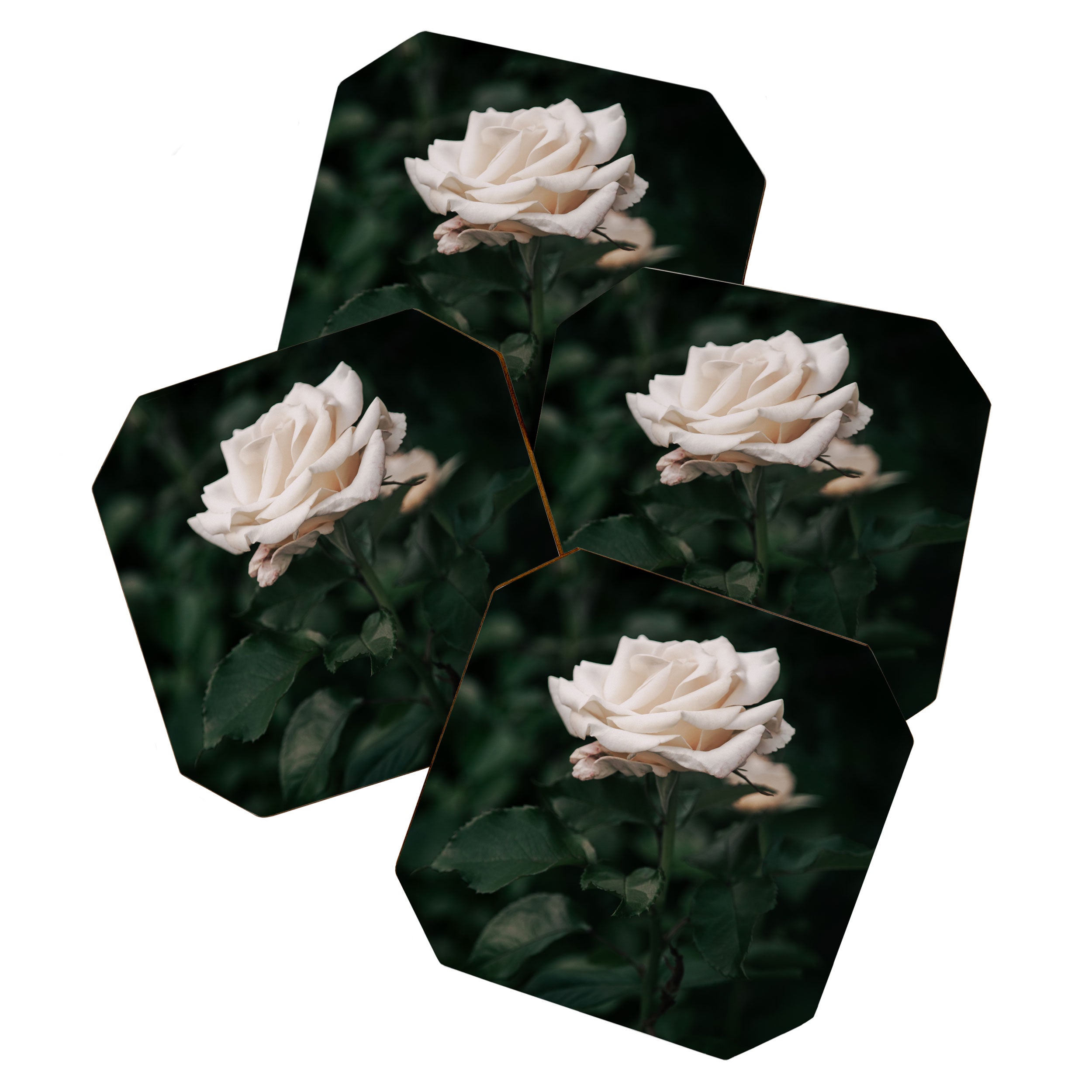White Rose Coaster Gallery Image 1