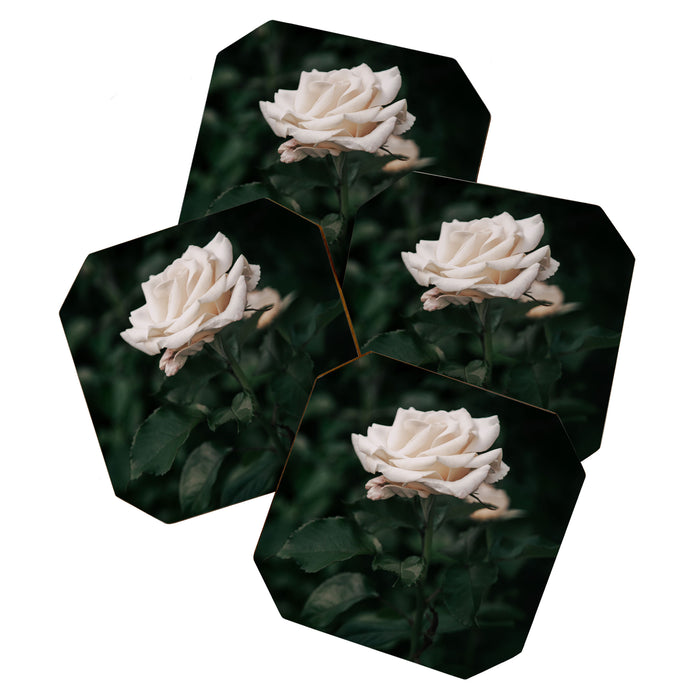White Rose Coaster Gallery Image 1