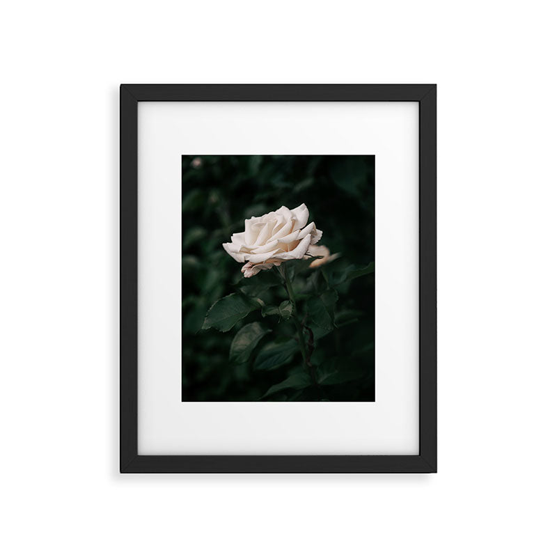 White Rose Framed Art Print Gallery Image 5