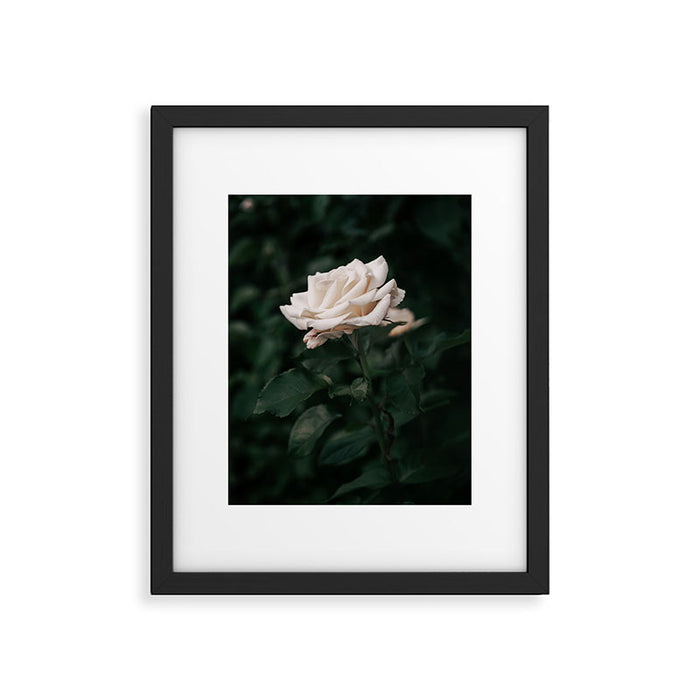 White Rose Framed Art Print Gallery Image 1