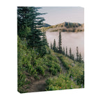 Wildflower Hike II Canvas Print Gallery Image 6