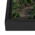 Wildflower Hike II Framed Canvas Print Gallery Image 3