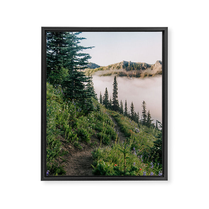 Wildflower Hike II Framed Canvas Print Gallery Image 1