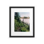 Wildflower Hike II Framed Art Print Gallery Image 5