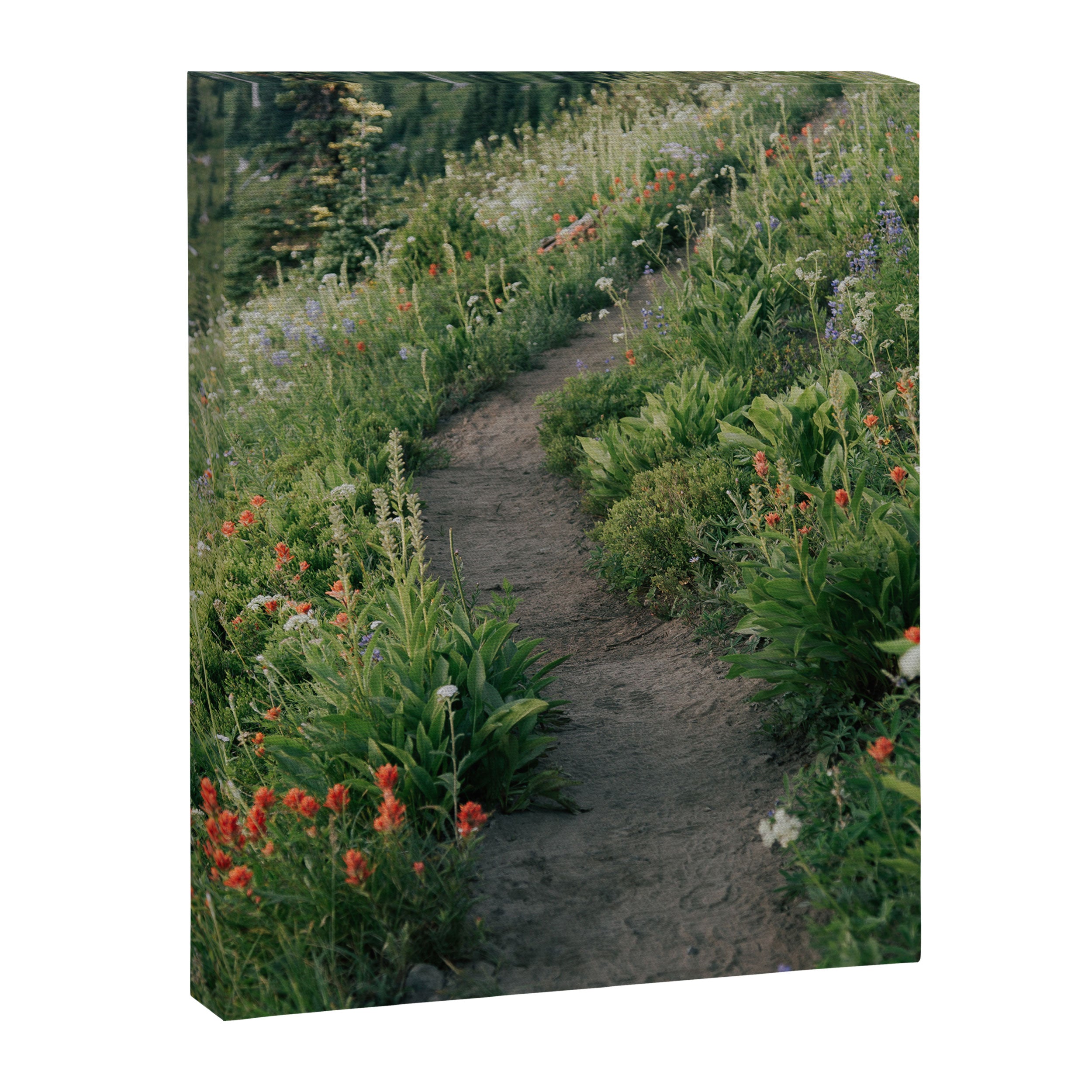 Wildflower Hike Canvas Print Gallery Image 6
